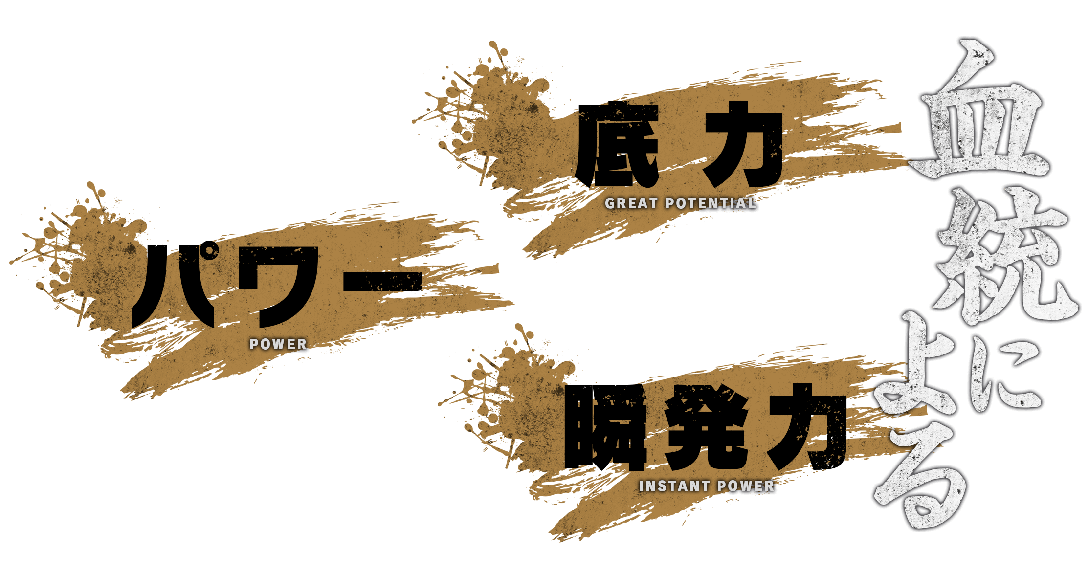引き継がれる血筋 不人気馬でも血統次第では弊社では◎は当たり前。